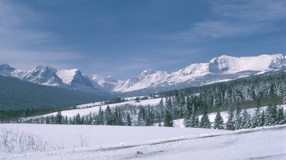 2 more glaciers gone from Glacier National Park MPR News