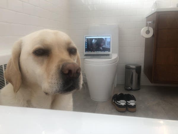 Rudy the PodDog in the bathroom during Luke's bath time.