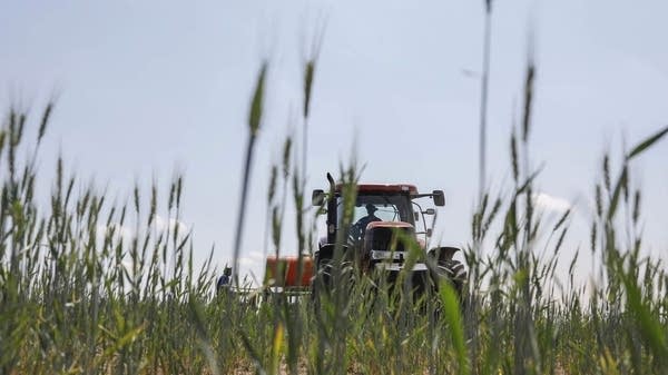 How the farm bill became the everything bill 