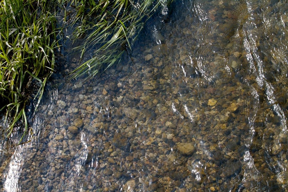 Clear water flows down the Whitewater River.