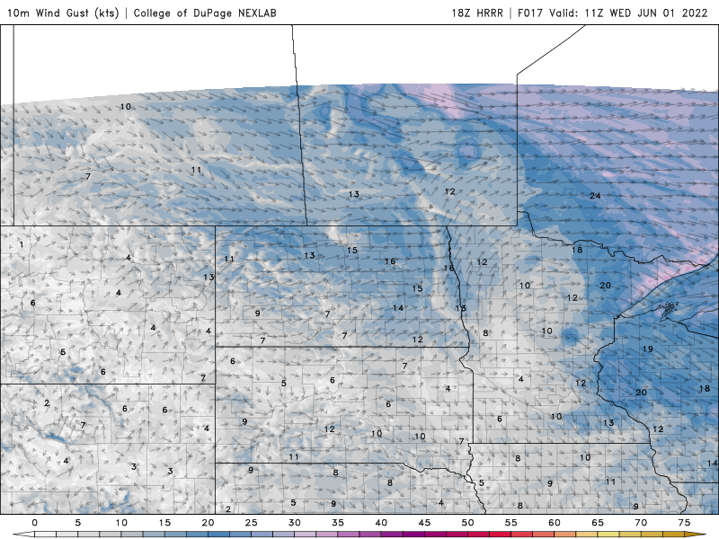 winds WED