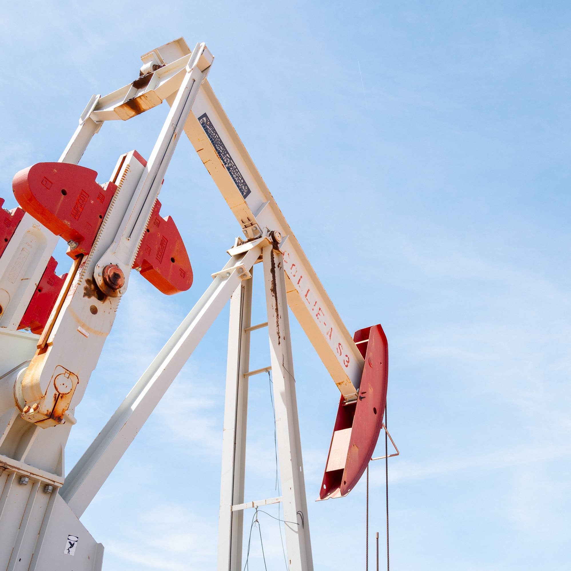 So many different flavors of oil