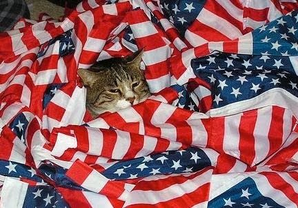 flag_statefair
