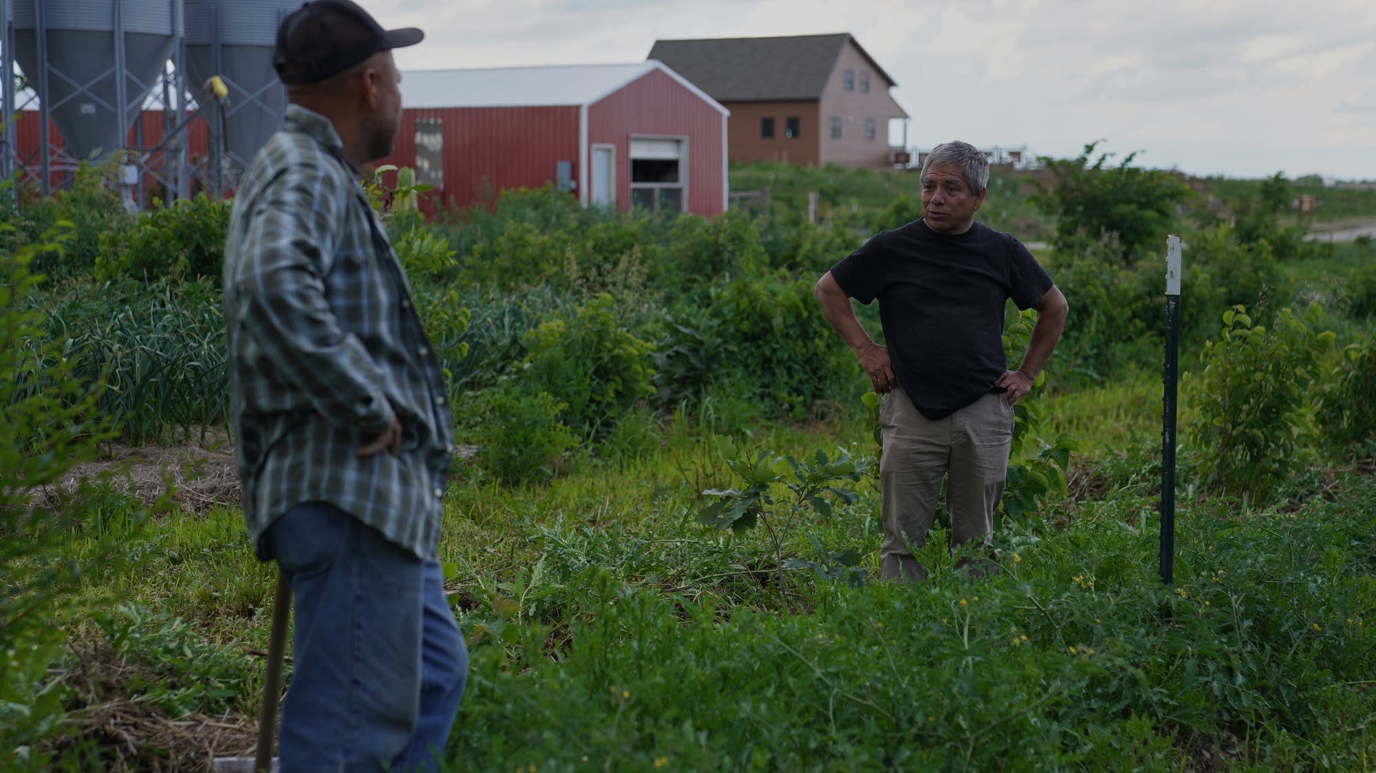 Regenerative agriculture is spiritual for these farmers