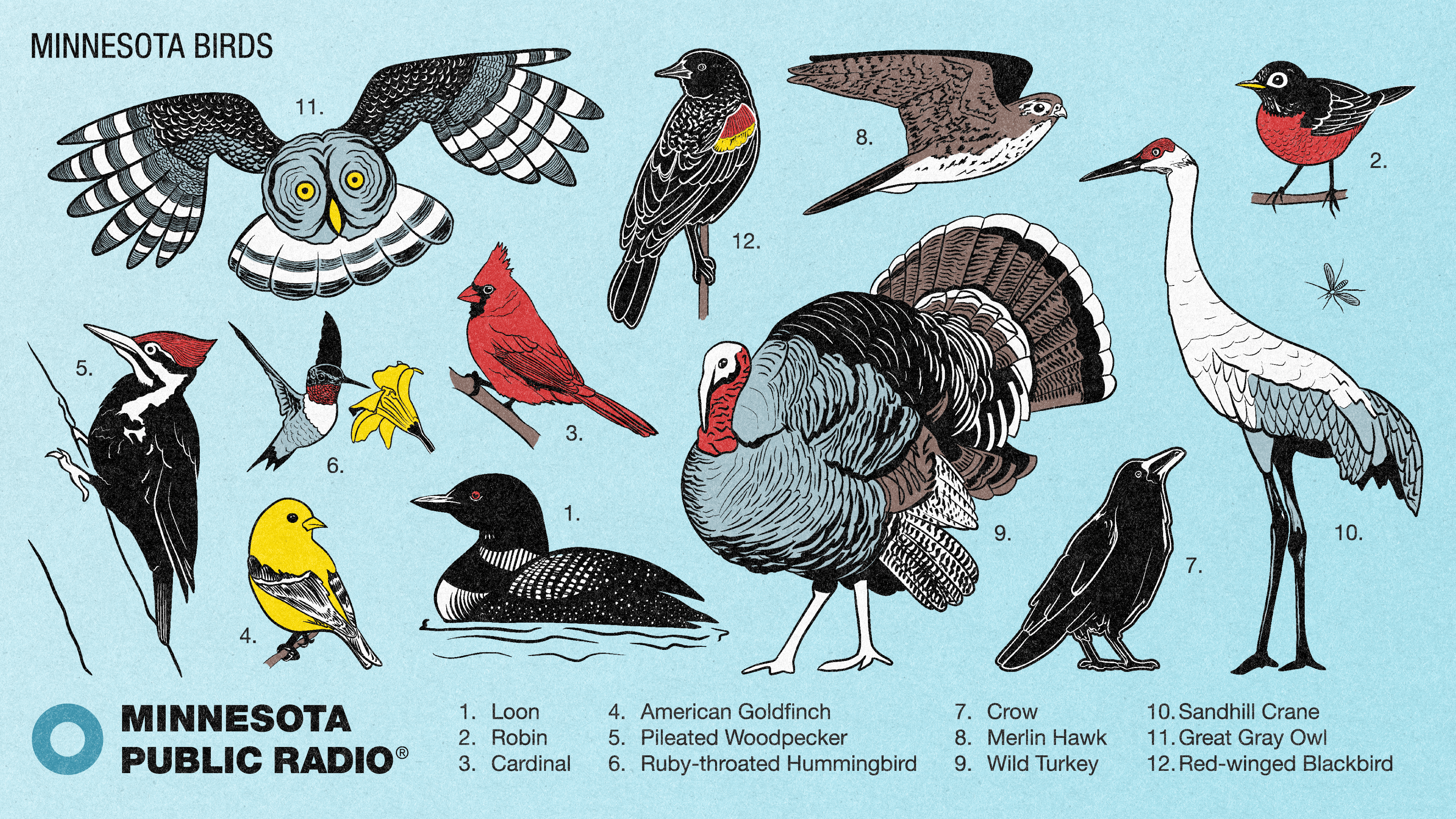 member appreciation week wallpaper - desktop - birds