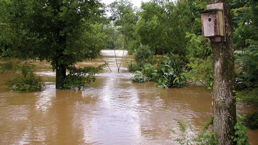Arkansas flash floods kill at least 16 people MPR News