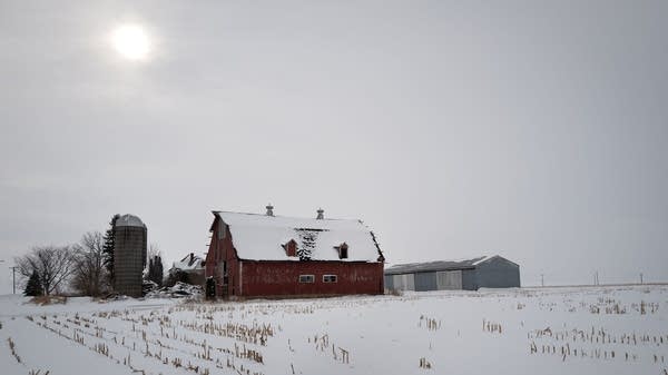 Farmers feel the big freeze