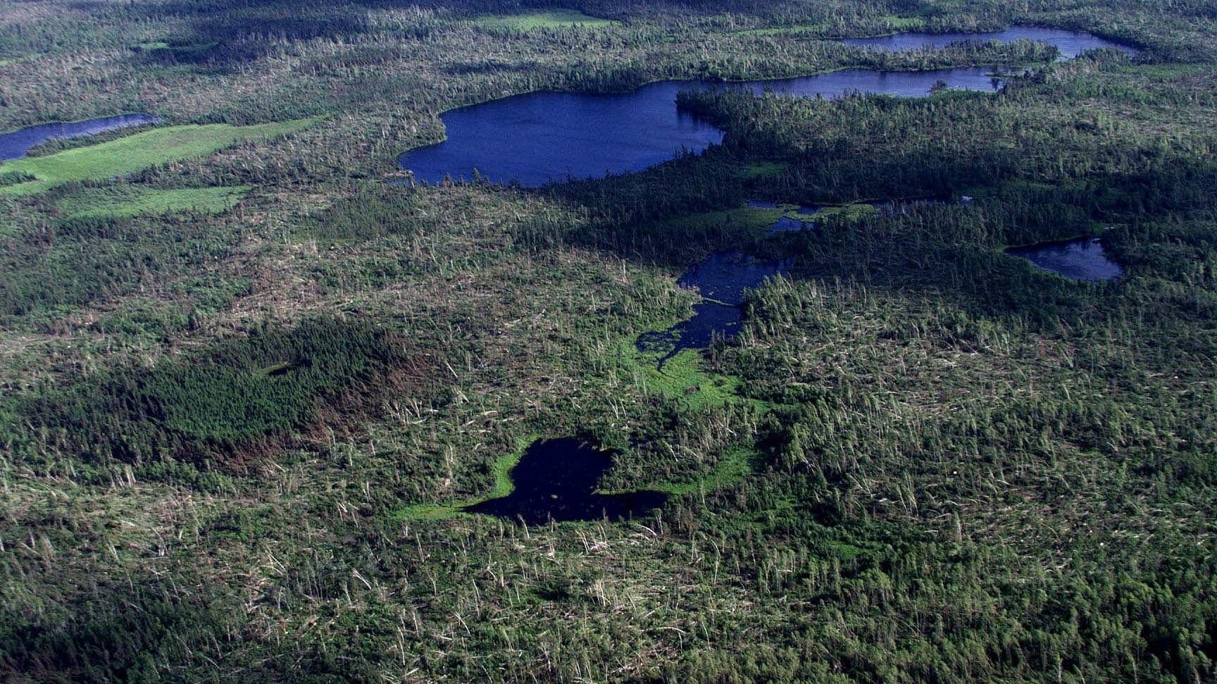 Boundary Waters 1999 blowdown