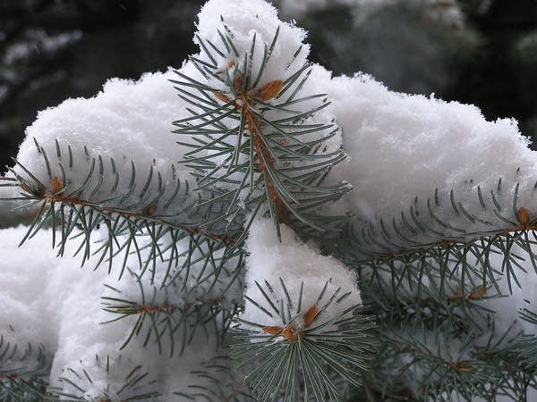 Snow covered