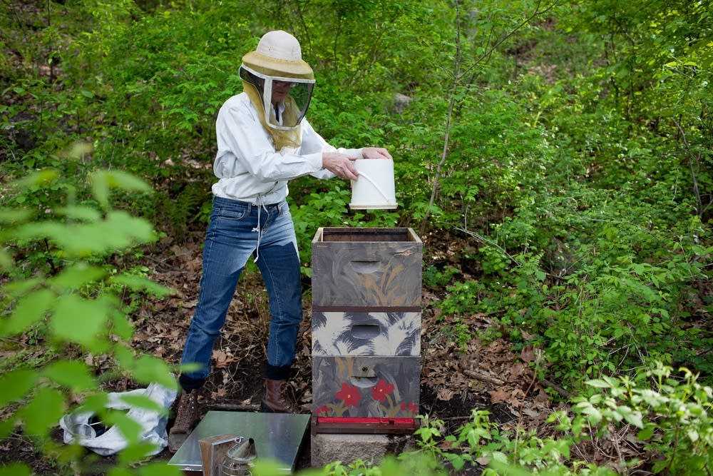 Sugar water for bees