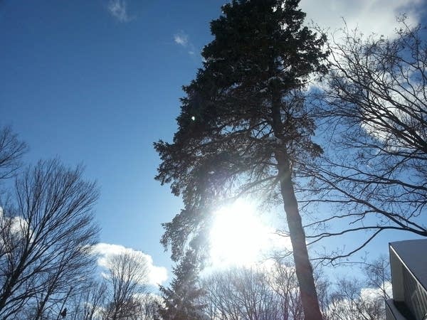 454 sun