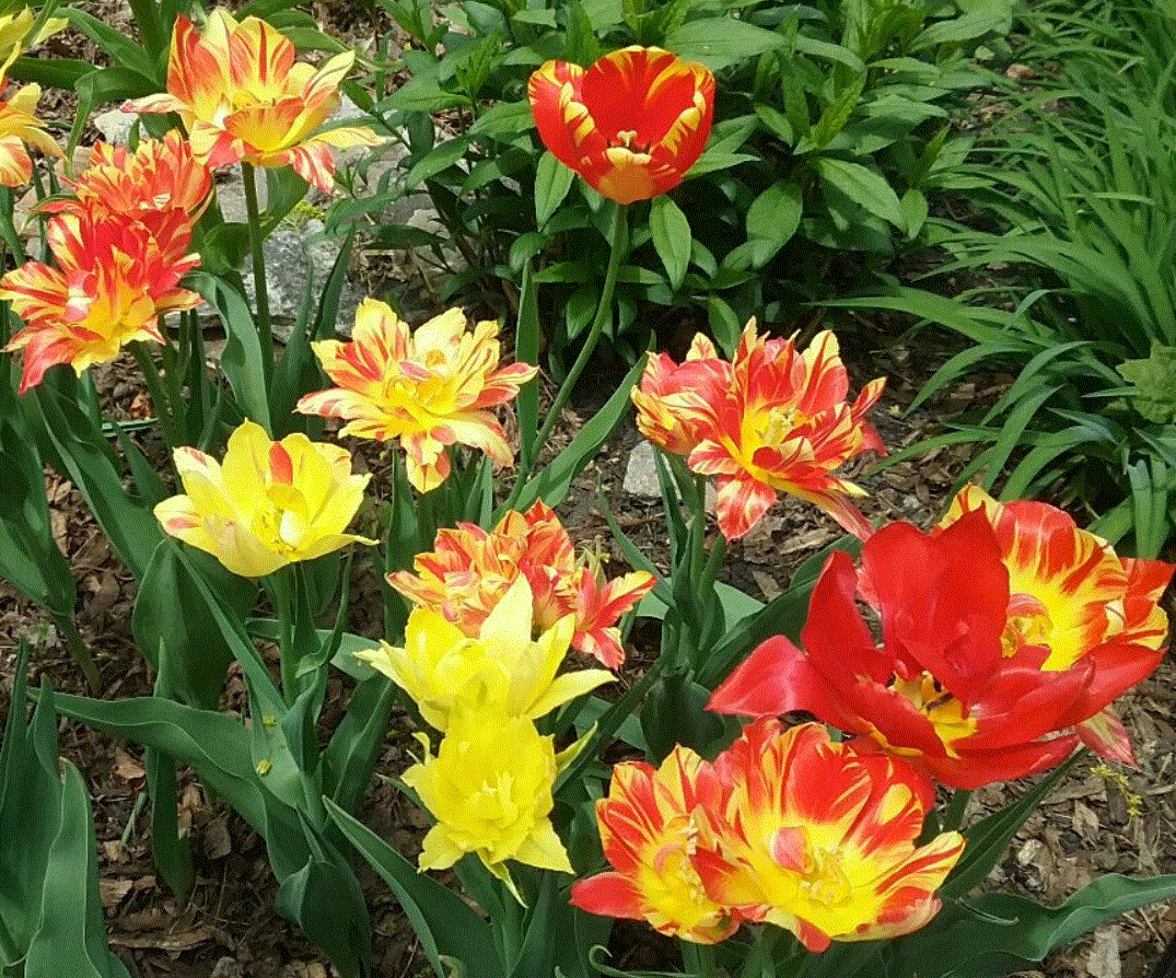 Chilly start to the week, then warming toward the weekend