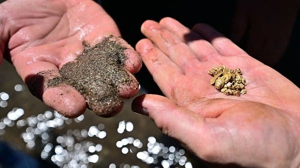 As the price of gold soars, more people are picking up gold digging as a hobby. 