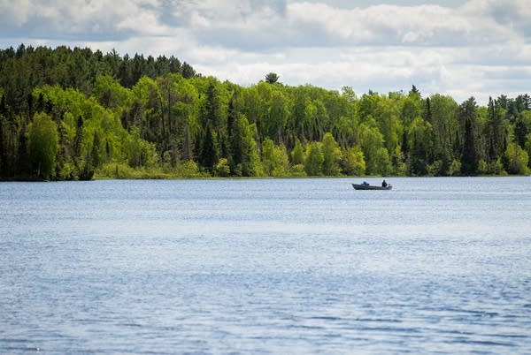 Fishermen in a small boat are on the water with forest in the distance