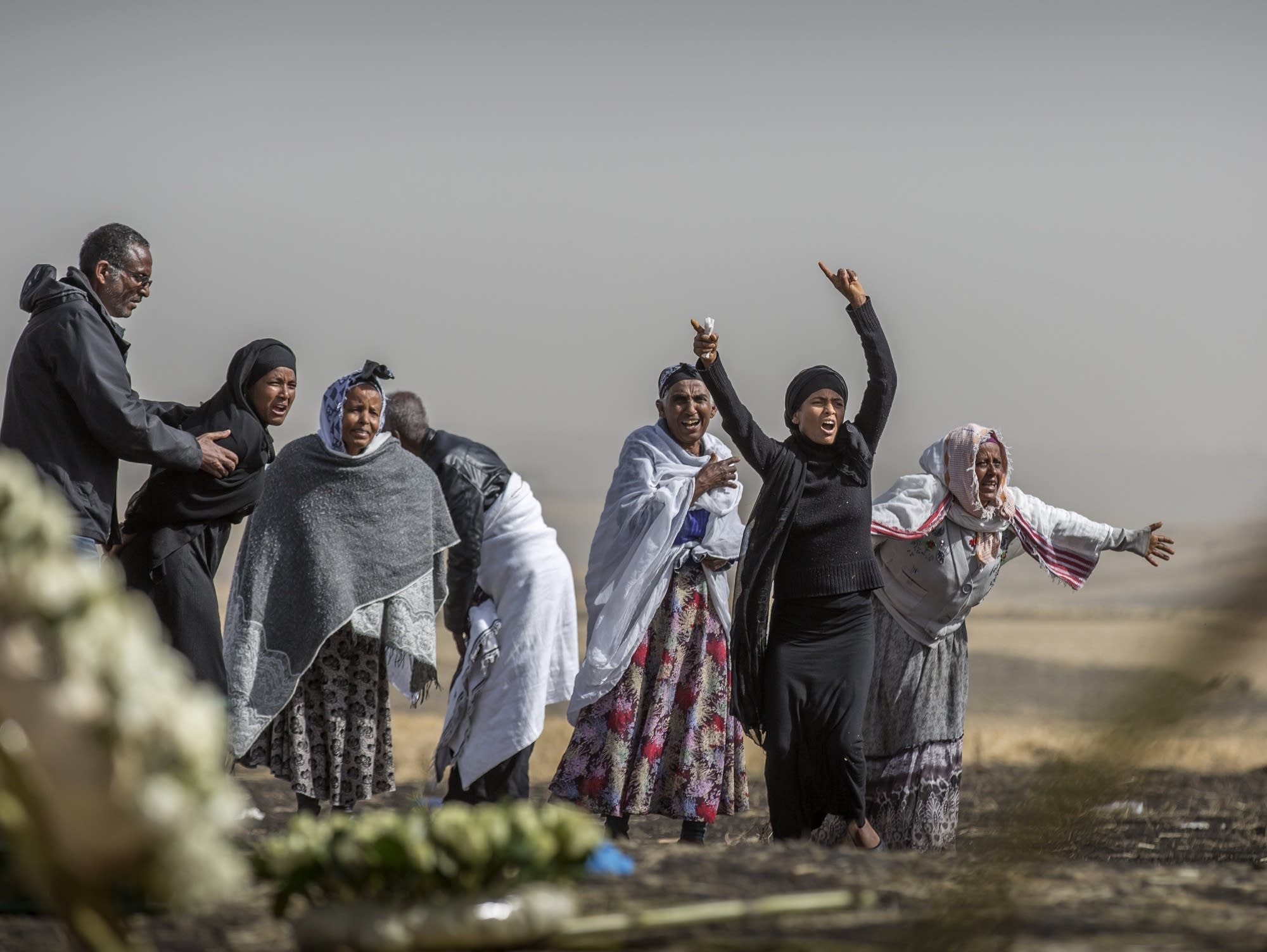 Pictures Of The Week Photo Gallery