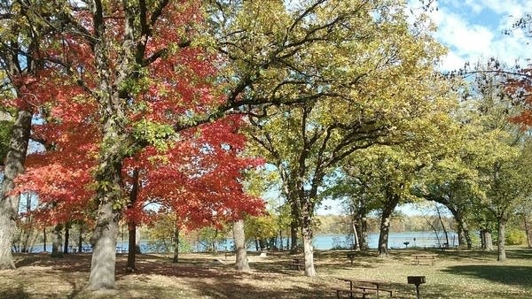 Milder Friday and weekend