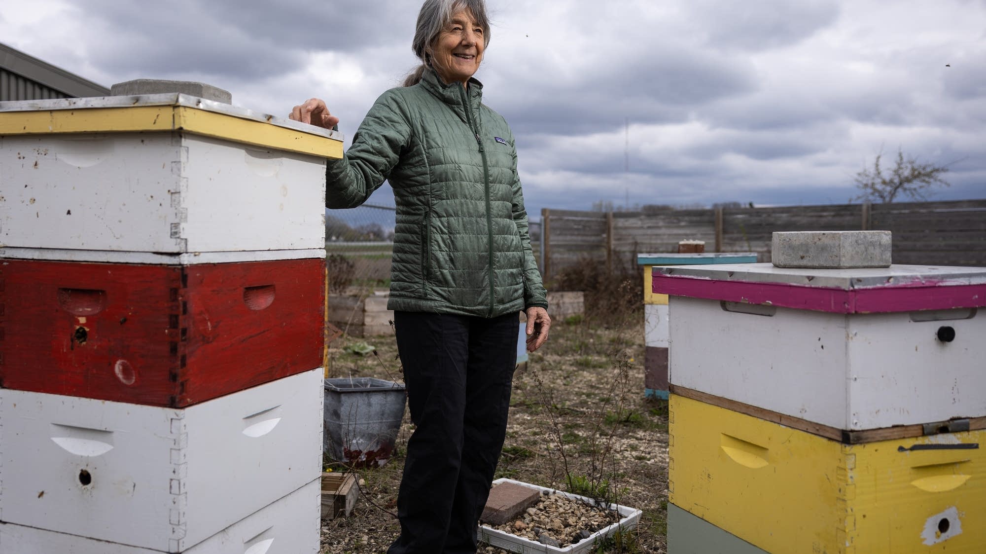 'For the bees': Retiring U of M entomologist Marla Spivak reflects on long career of bee science, advocacy - Vimarsana News