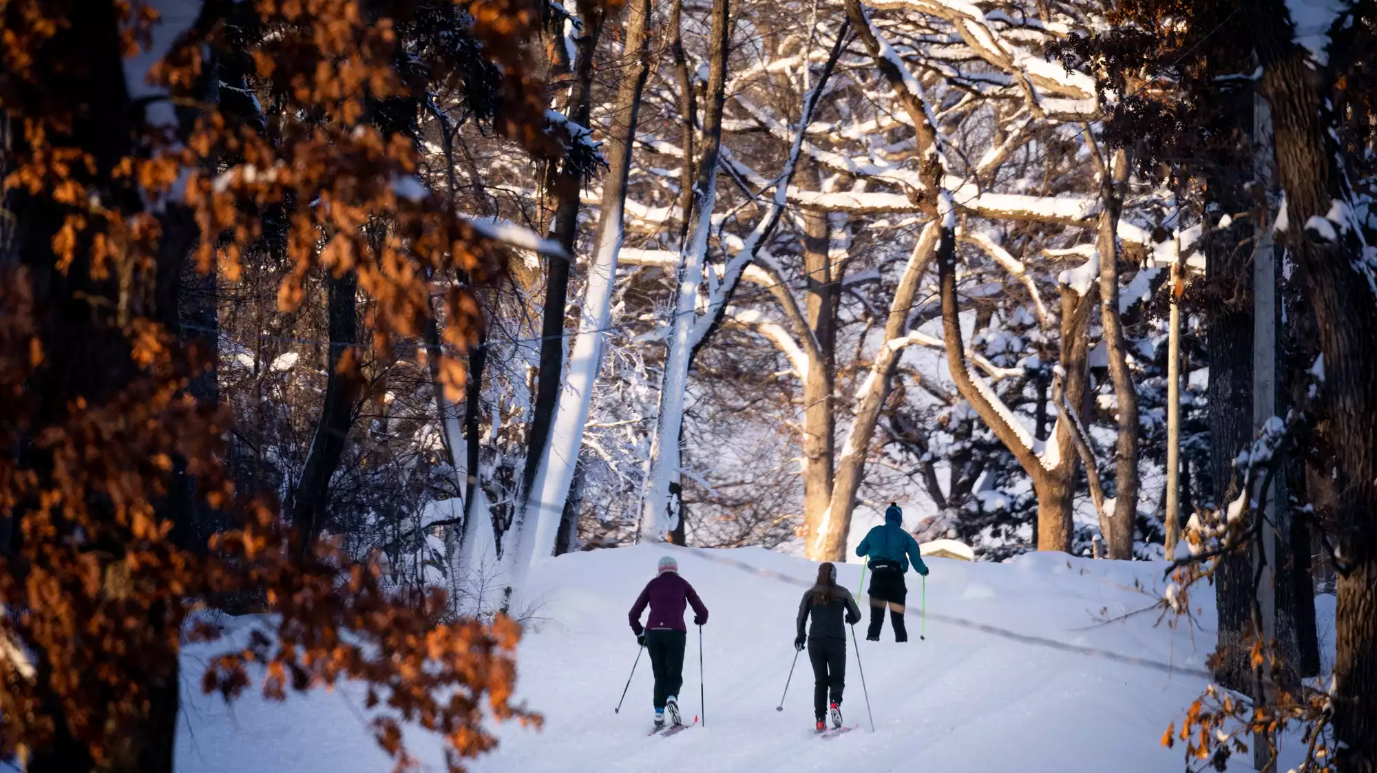 Winter storm updates: Big winds, bitter cold mess with travel, schools ...