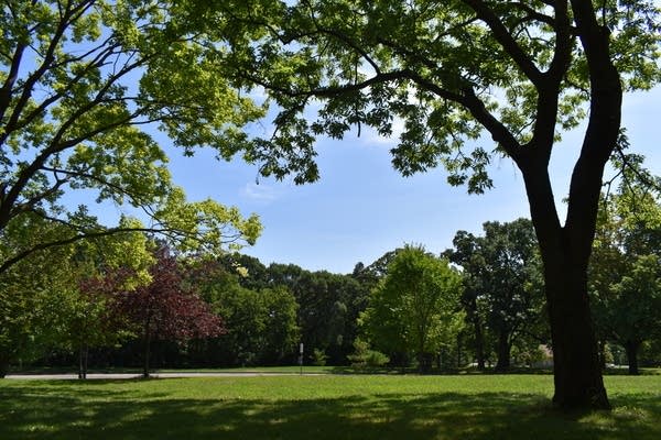 A sun-splashed weekend; best rain chances hold off until Thursday