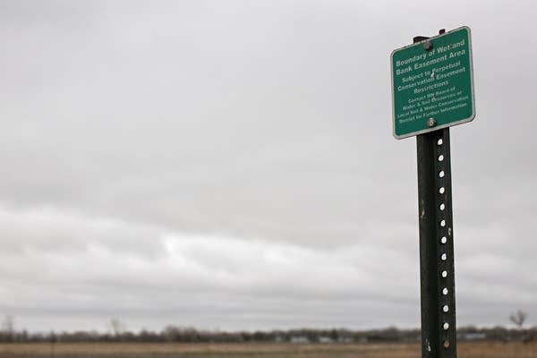 Marking a wetland bank easement boundary