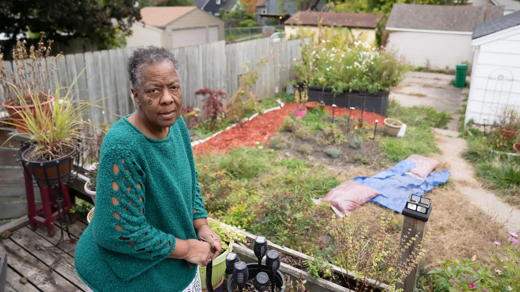 Minneapolis will distribute $8 million to help residents with ash tree removal. But there's no relief for homeowners who've already had trees condemned - Vimarsana News