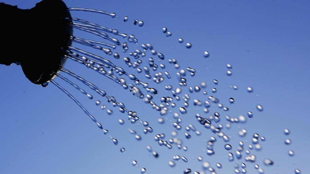 How should gardeners care for their plants during a drought?