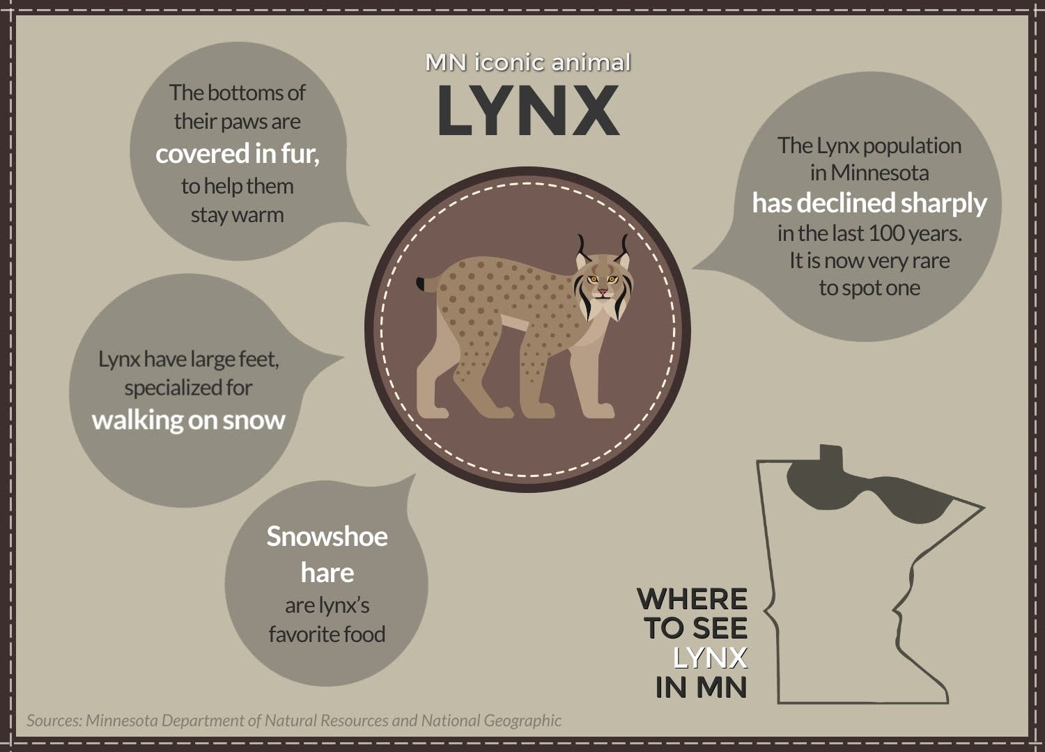 A field guide to Minnesota's iconic animals MPR News