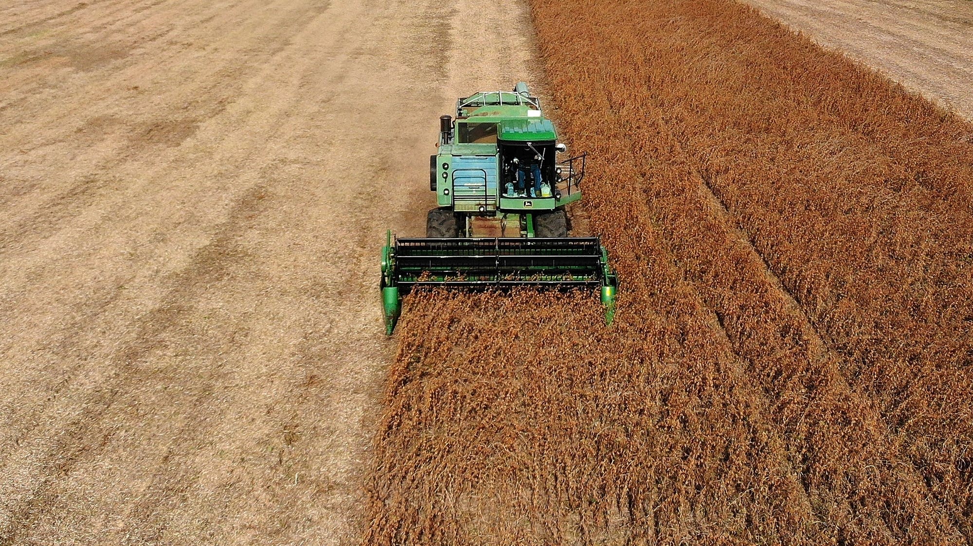 Brazilian farmers beef up soybean production as China halts business with U.S. during trade fight