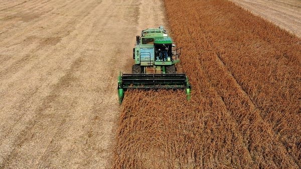 e797ac-20251008-a-farmer-drives-a-tractor-through-a-soybean-field-600 Brazilian farmers are boosting soybean production after China halted trade with the United States during the trade war