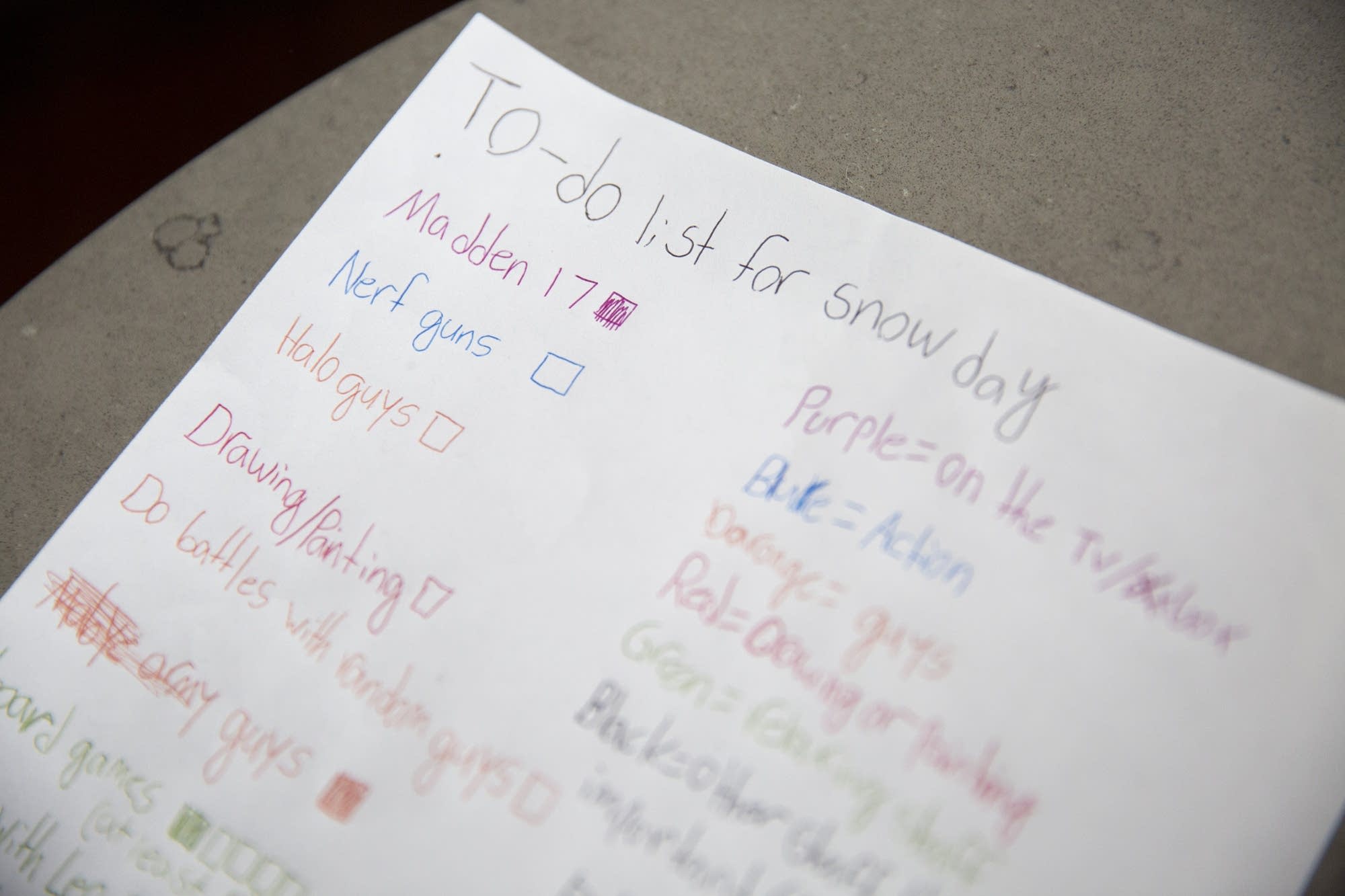 Reed and Brennan Schumann's list of snow day activities.