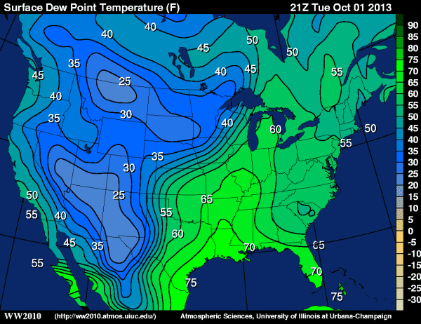 564 dews