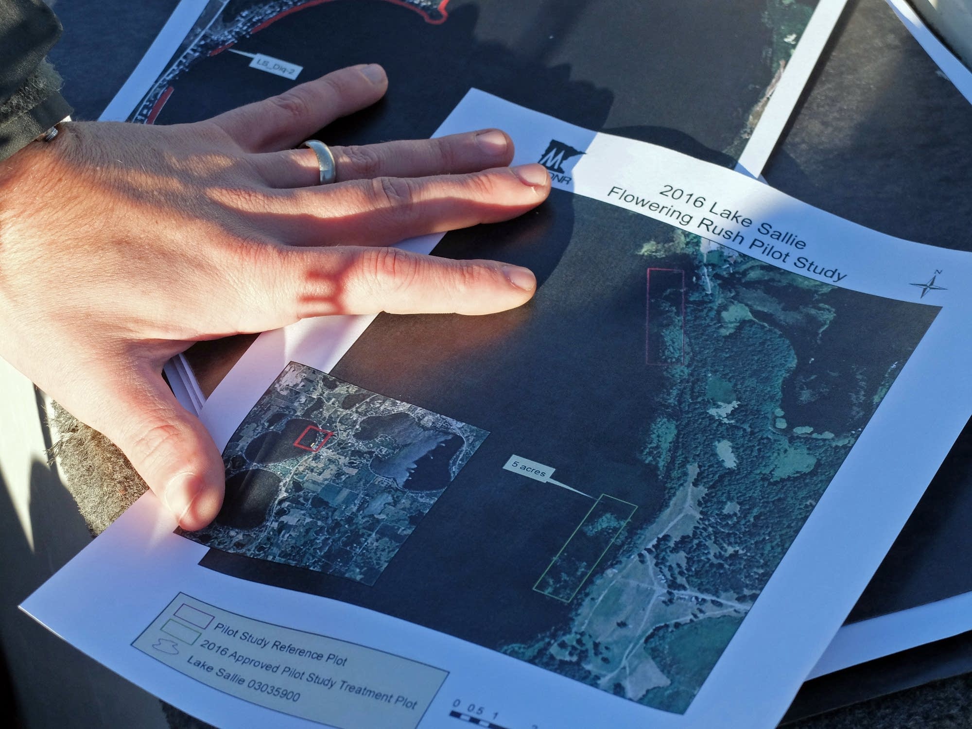 Map of the Pelican River Watershed project