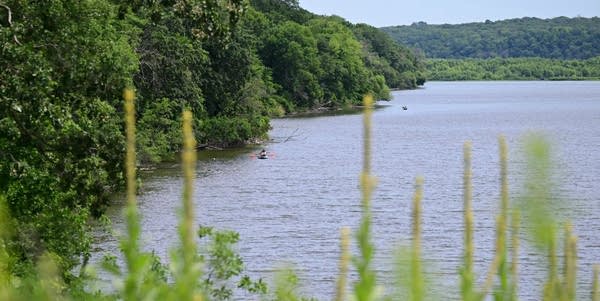 Kayakers paddle along the shore