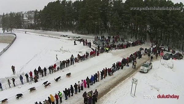 For Beargrease racers, it’s the dog days of January