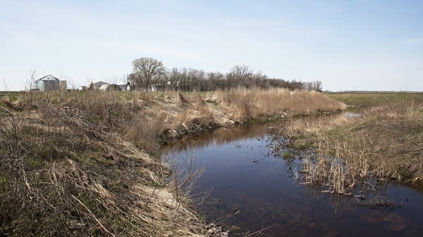 An improved stretch of creek