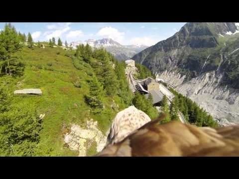Timewasters: Fly like an eagle