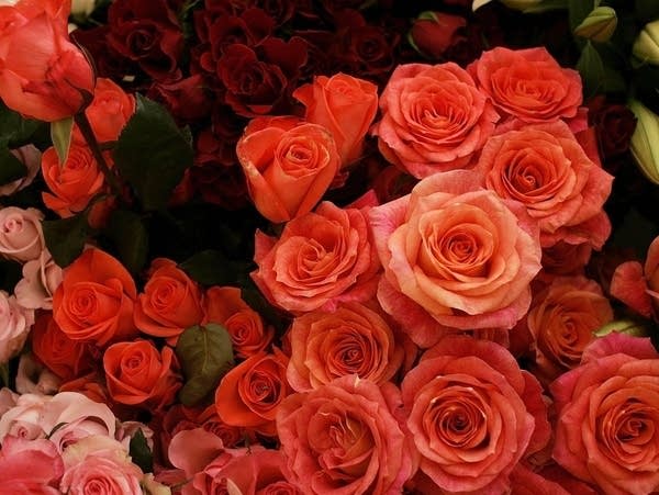 Flowers wait to be made into a Valentines Day bouquet at the White Tulip florist February 13, 2007 in Miami Beach, Florida.