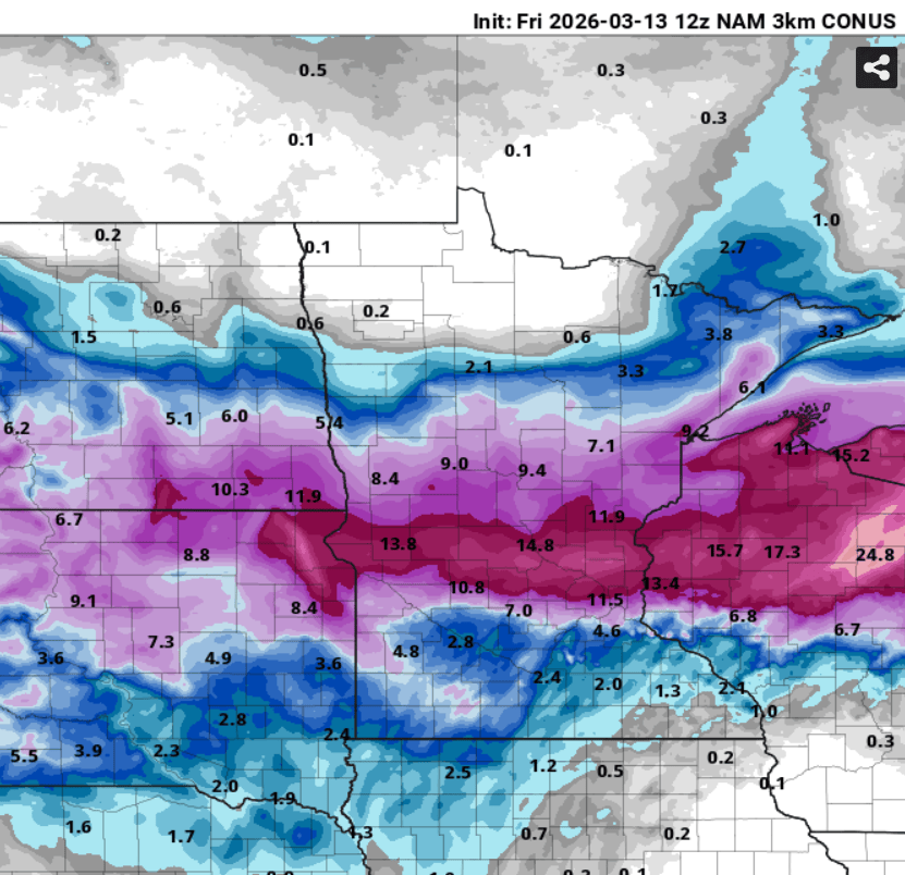 NOAA NAM 3 km model snowfall