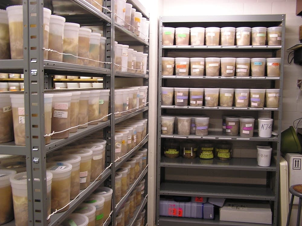 Preserved for science