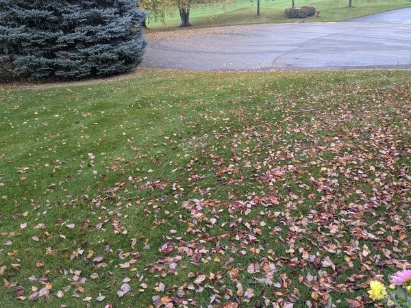 Sunshine returns Wednesday; pretty cool Halloween ahead