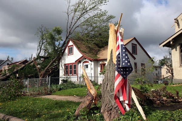 A flag hangs on a torn tree