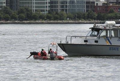Hudson River plane-copter crash