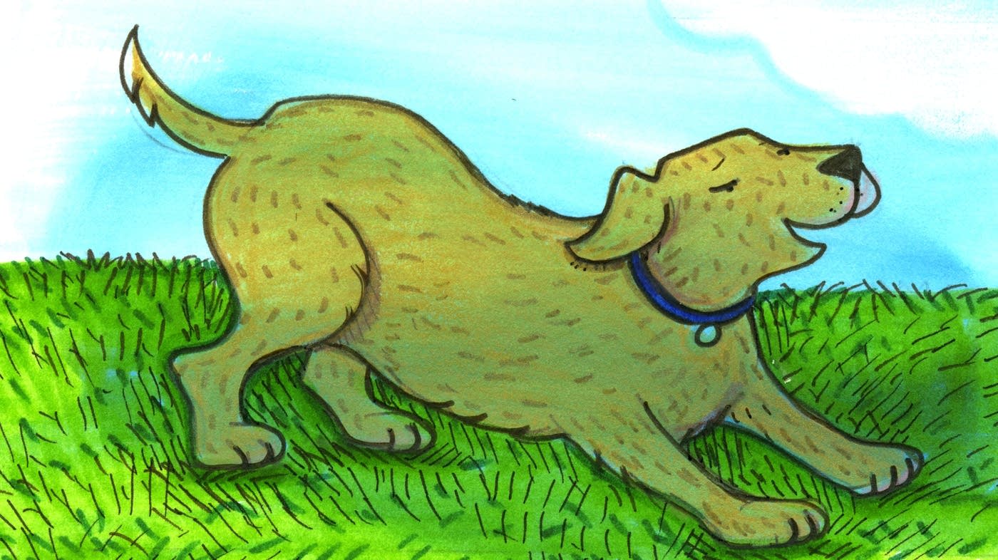 Classical Kids Storytime: 'The Dog and the Bone' | Your Classical