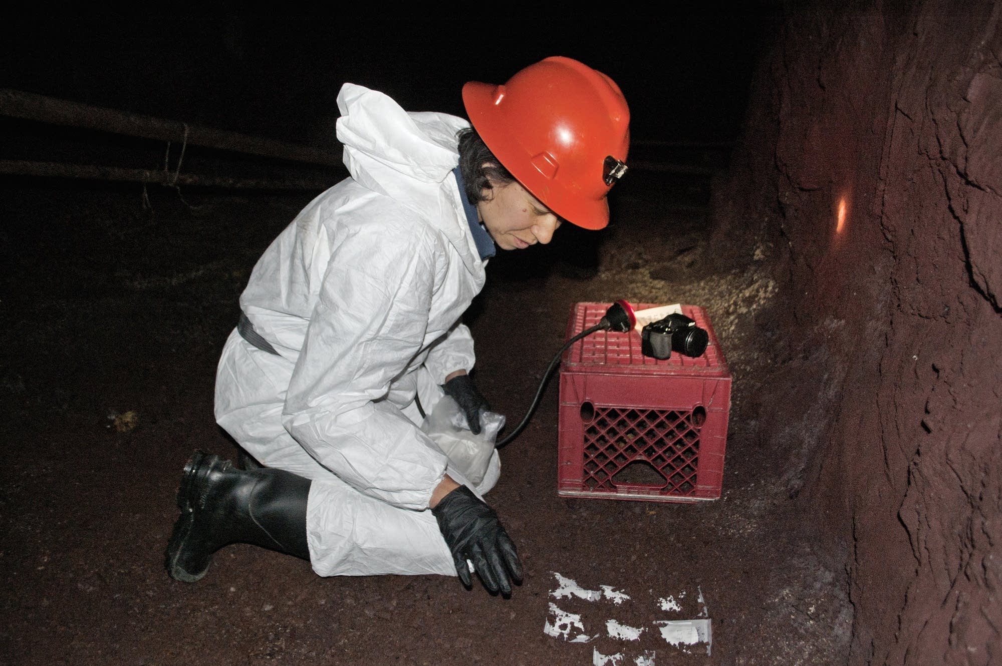 U of M scientist Christine Salomon checks fungus samples in the mine.