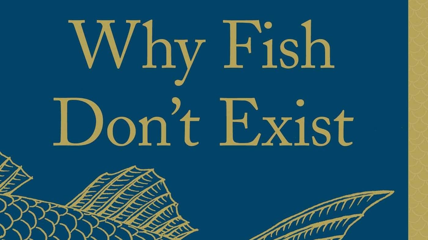Ask a Bookseller: 'Why Fish Don't Exist' by Lulu Miller