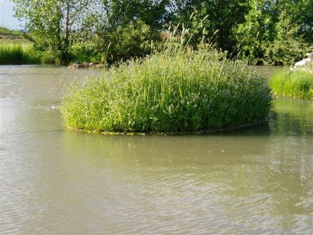 Floating islands