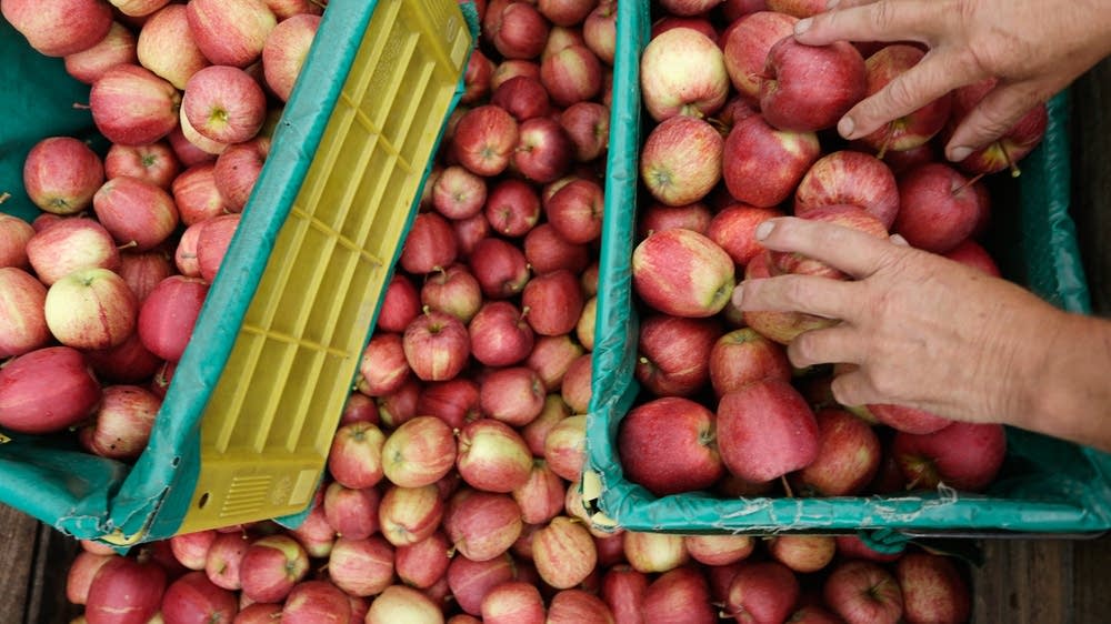 Climate change could mean pricier groceries