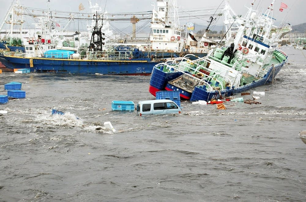 Fishing boats