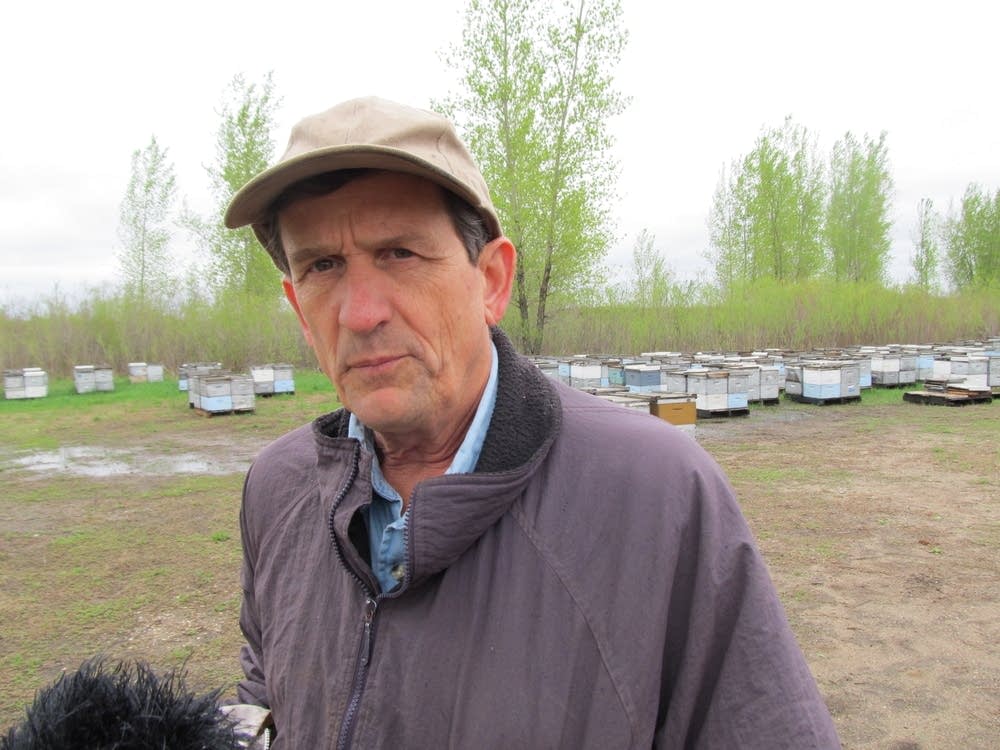 Beekeeper Steve Ellis