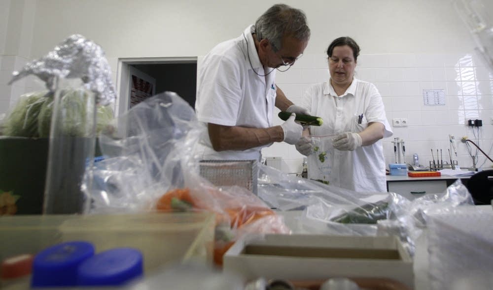 Testing for E. coli